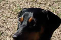 IMG-20220208-WA0004