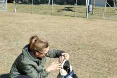 IMG-20220208-WA0005