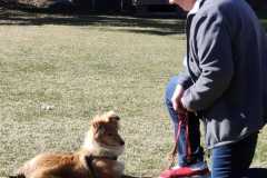 IMG-20220208-WA0006