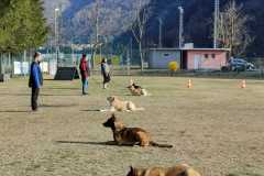 IMG-20220208-WA0007