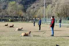 IMG-20220208-WA0008