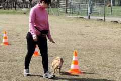 IMG-20220208-WA0011