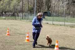 IMG-20220208-WA0012