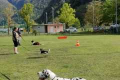 IMG-20220208-WA0013