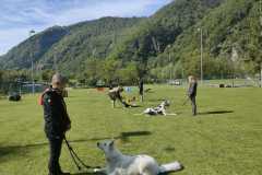 IMG-20220208-WA0014