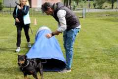 IMG-20220208-WA0015