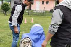 IMG-20220208-WA0016