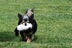 IMG-20220208-WA0017
