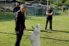 IMG-20220208-WA0018