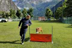IMG-20220208-WA0019