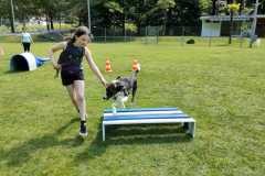 IMG-20220208-WA0020