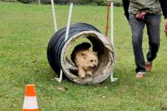 IMG-20220208-WA0054