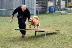 IMG-20220208-WA0055