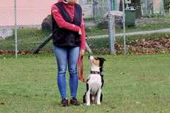 IMG-20220208-WA0056