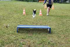 IMG-20220208-WA0057