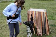 IMG-20220208-WA0058