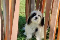 IMG-20220208-WA0059