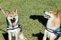 IMG-20220208-WA0060