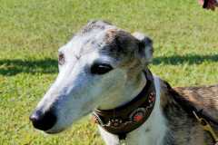 IMG-20220208-WA0062