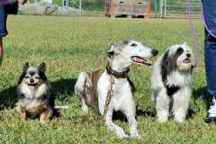 IMG-20220208-WA0063