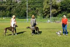 IMG-20220208-WA0064
