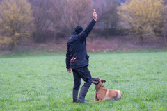 Concorso Internazionale Cani Di Utilità