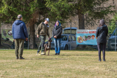 Concorso Internazionale Cani Di Utilità