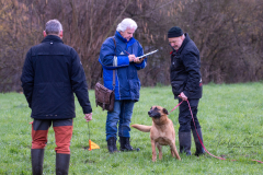 Concorso Internazionale Cani Di Utilità
