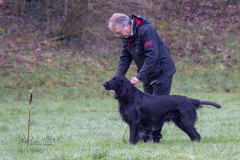 Concorso Internazionale Cani Di Utilità