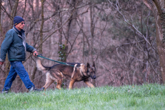 Concorso Internazionale Cani Di Utilità