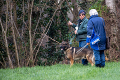 Concorso Internazionale Cani Di Utilità