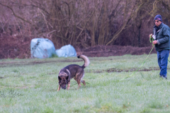 Concorso Internazionale Cani Di Utilità