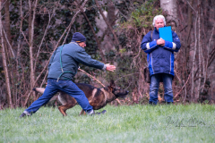 Concorso Internazionale Cani Di Utilità