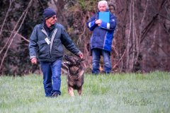 Concorso Internazionale Cani Di Utilità