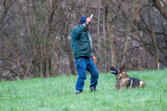 Concorso Internazionale Cani Di Utilità
