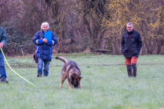 Concorso Internazionale Cani Di Utilità