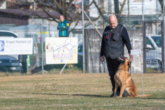 Concorso Internazionale Cani Di Utilità