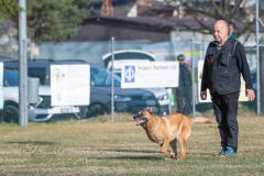 Concorso Internazionale Cani Di Utilità