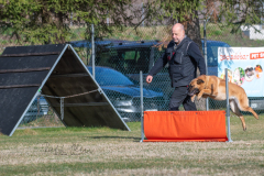 Concorso Internazionale Cani Di Utilità