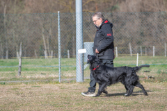 Concorso Internazionale Cani Di Utilità