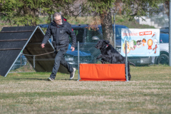 Concorso Internazionale Cani Di Utilità