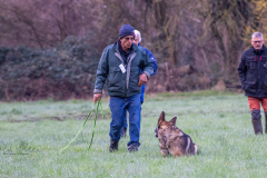 Concorso Internazionale Cani Di Utilità