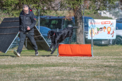 Concorso Internazionale Cani Di Utilità