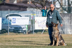 Concorso Internazionale Cani Di Utilità