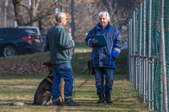 Concorso Internazionale Cani Di Utilità