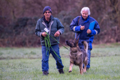 Concorso Internazionale Cani Di Utilità