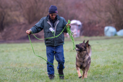 Concorso Internazionale Cani Di Utilità