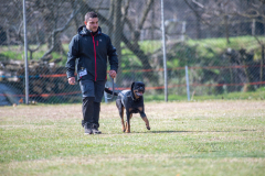 Concorso Internazionale Cani Di Utilità