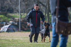 Concorso Internazionale Cani Di Utilità