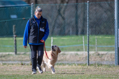Concorso Internazionale Cani Di Utilità
